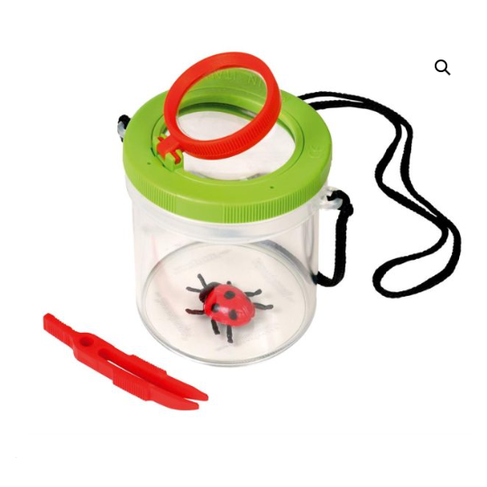 Boite loupe à insecte
