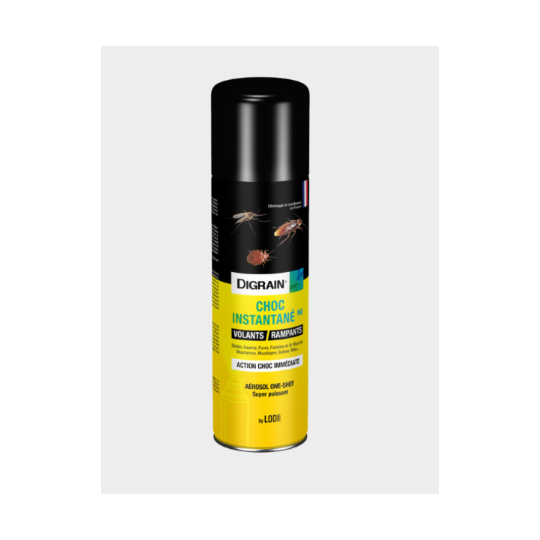 CHOC INSTANTANE NG / Aérosol vidange instantanée 400ml