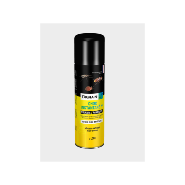 CHOC INSTANTANE NG / Aérosol vidange instantanée 400ml
