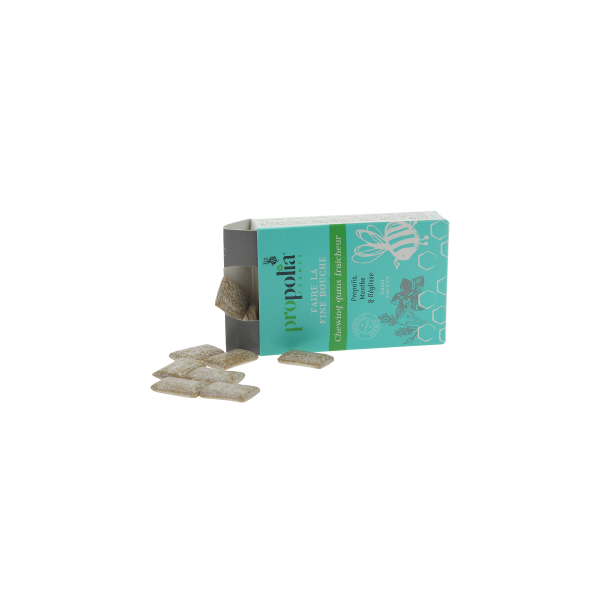 chewing gum propolis menthe réglisse propolia