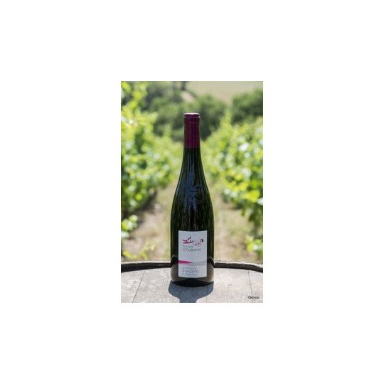 Coteaux D'Ancenis Rouge "Le Vieux Planty" 2021 75cl - Domaine des Galloires
