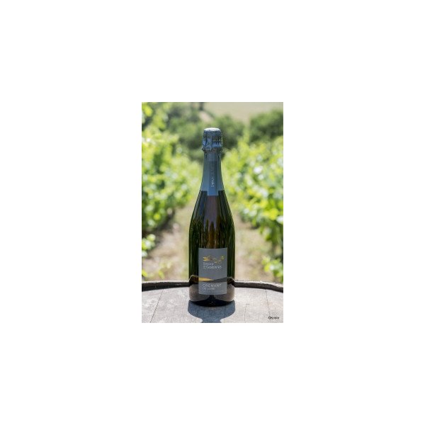Crémant de Loire 75cl - Domaine des Galloires